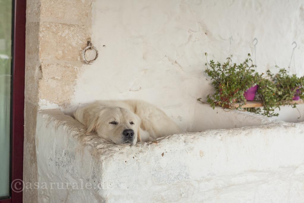 Masseria Ferri Ostuni Eksteriør billede